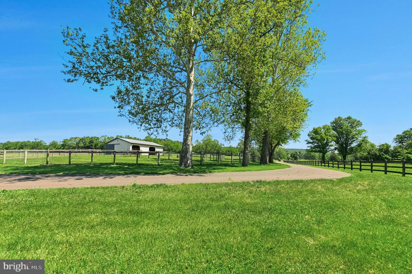 1194 Street Road photo 5