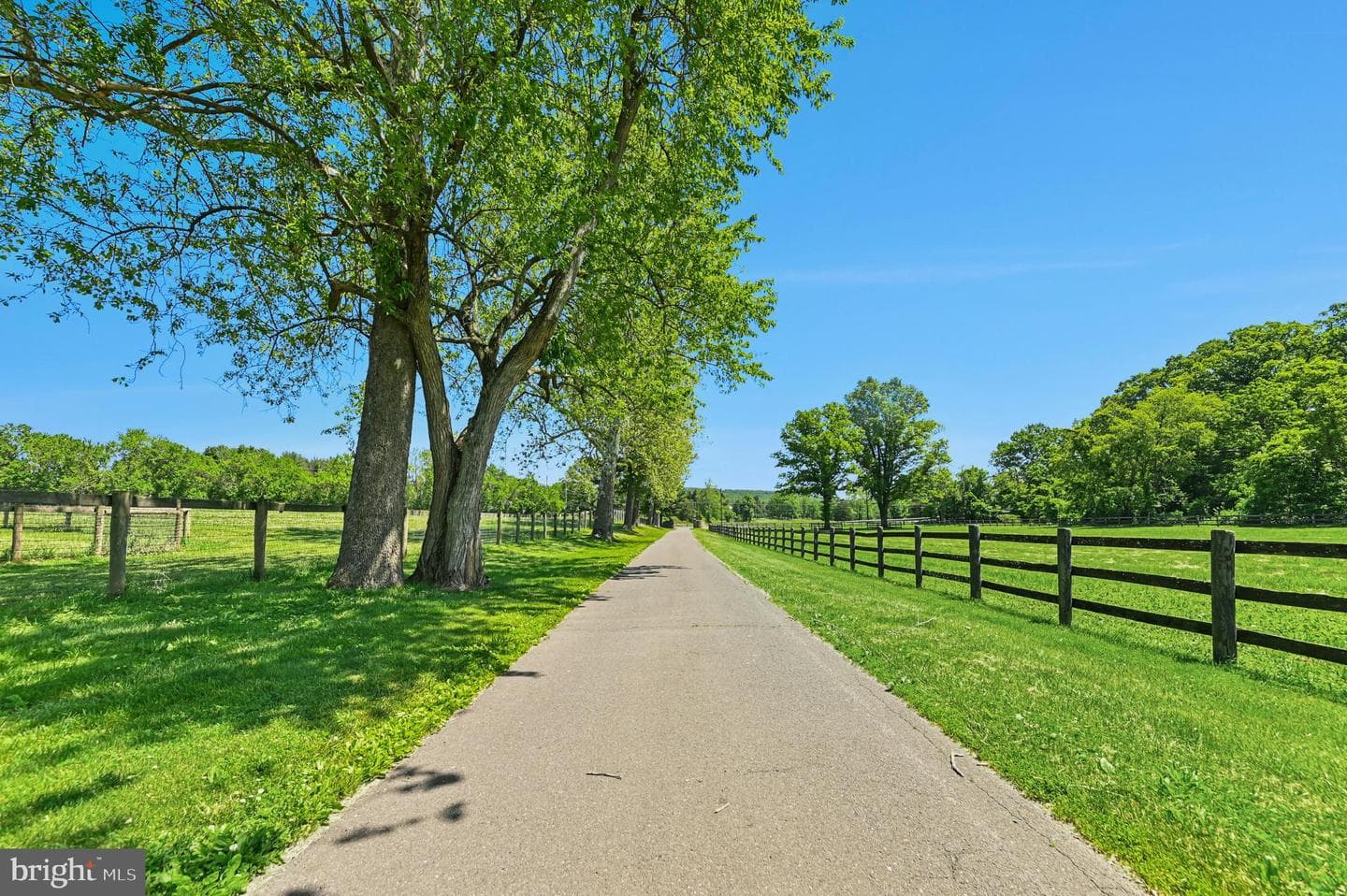 1194 Street Road photo 63
