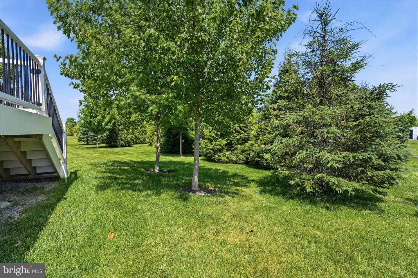 83 Lavender Drive photo 43