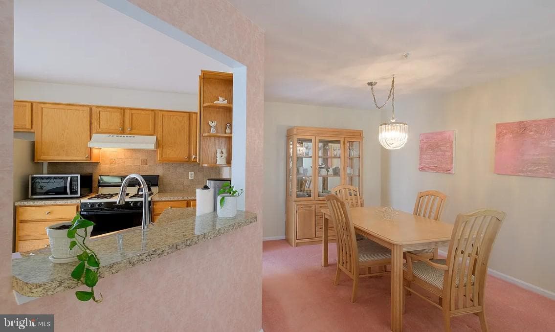 1508 Carol Court photo 7