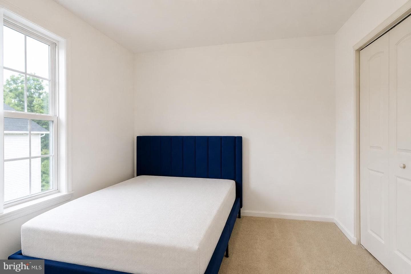 102 Master Ave photo 22