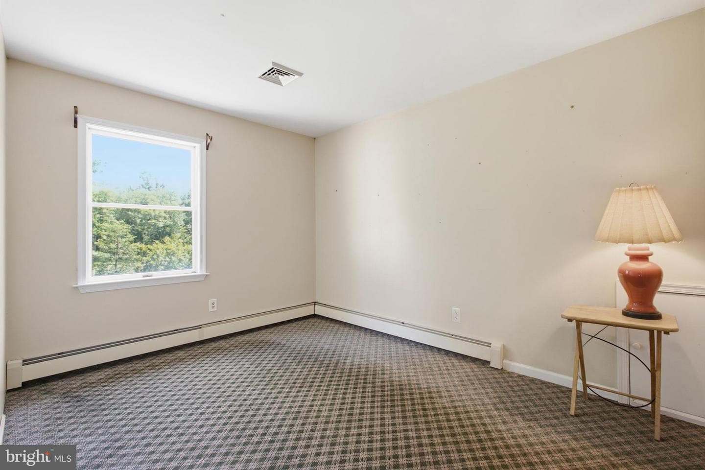 6338 Stump Road photo 37