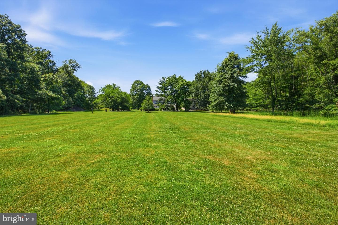 6338 Stump Road photo 44
