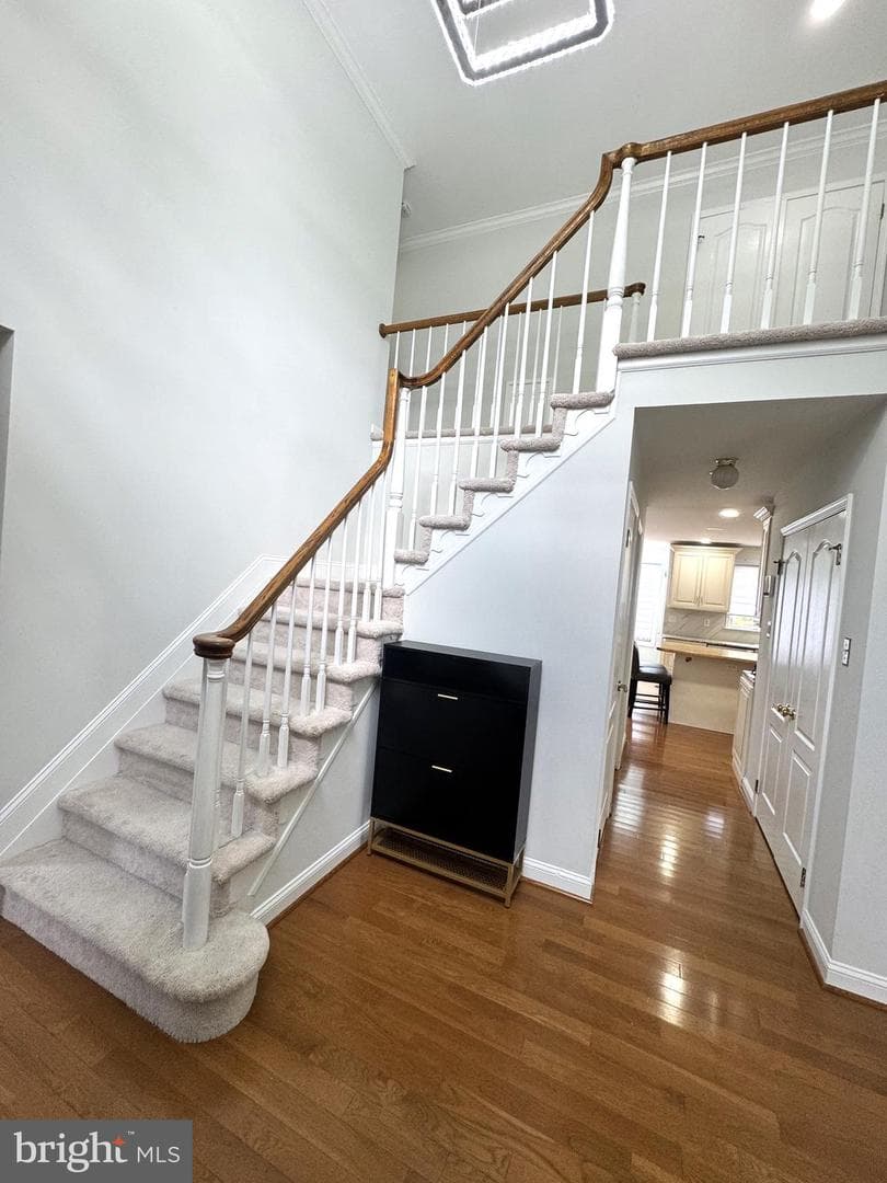 255 Pintail Ct photo 9