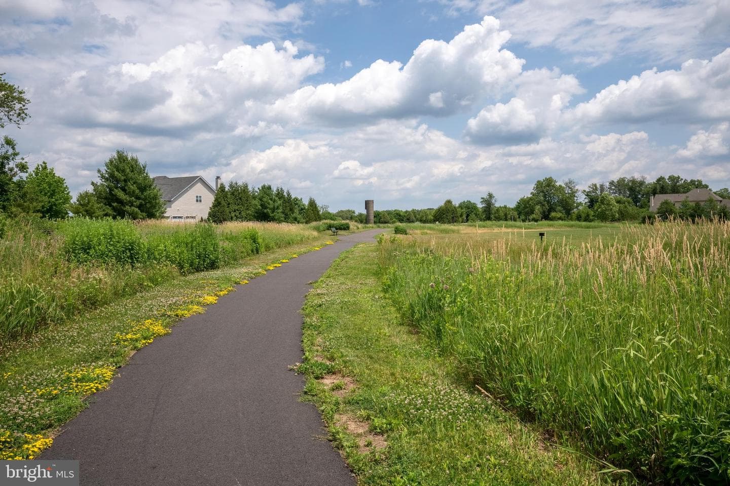 4502 Scenic View Circle photo 62