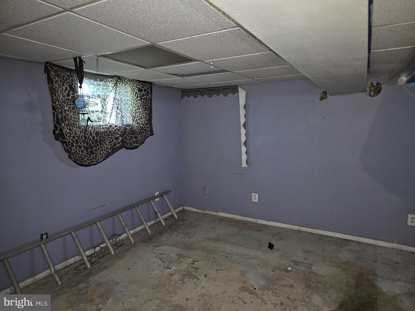 604 Harris Avenue photo 26