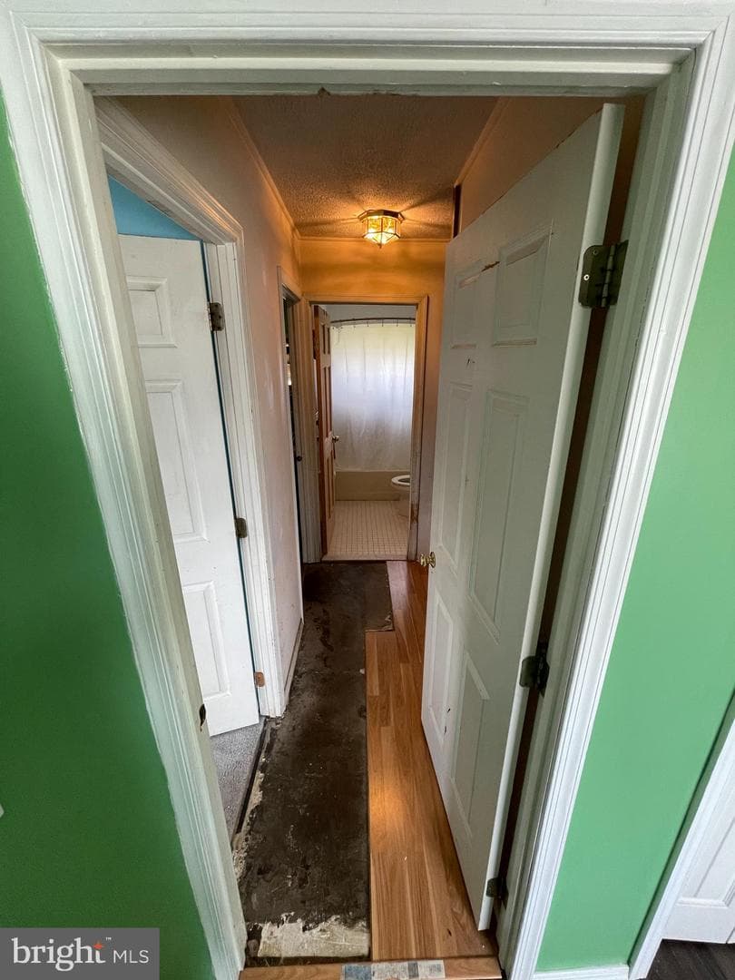 3 Lilac Ln photo 17