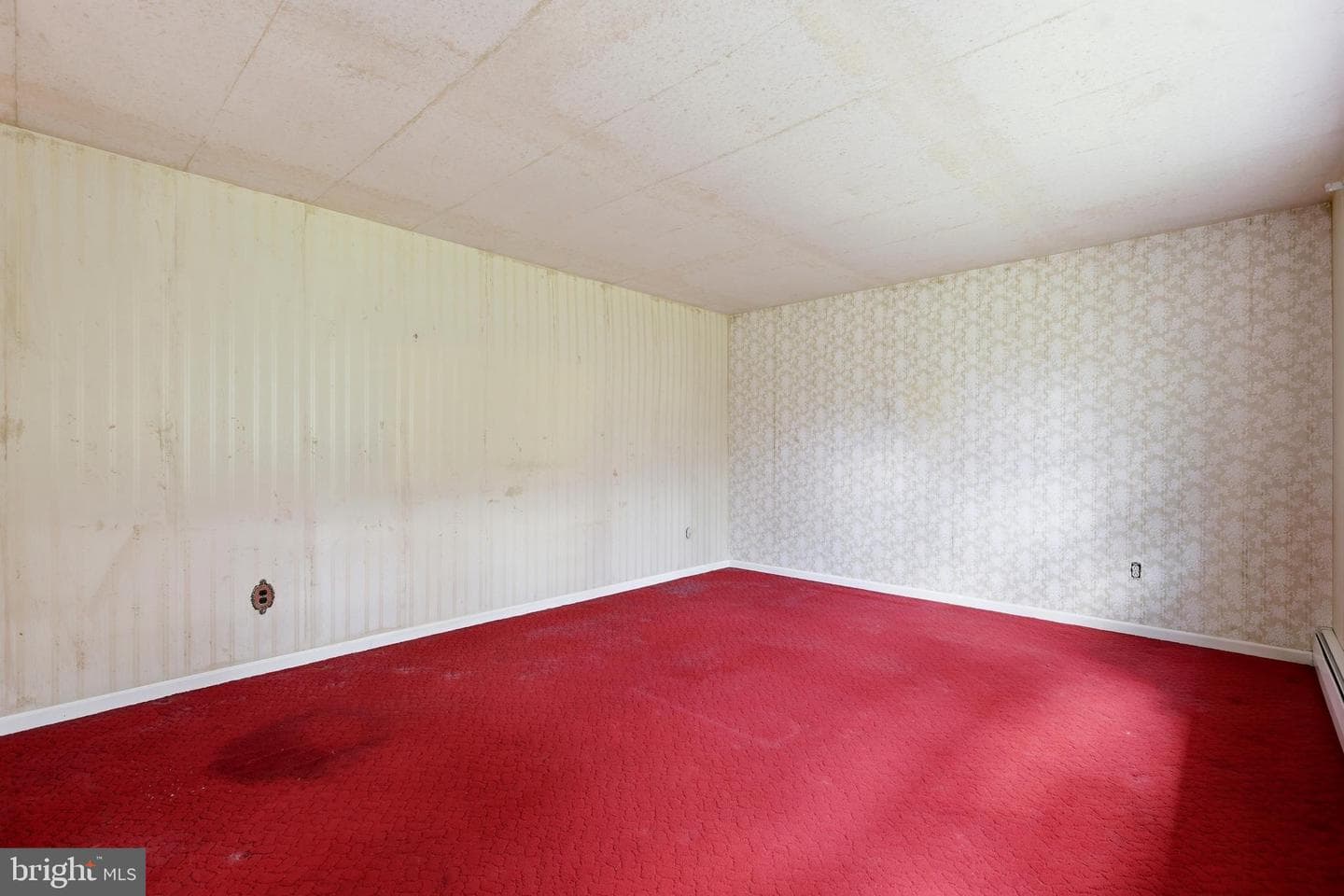 290 Cherry Blossom Drive photo 10