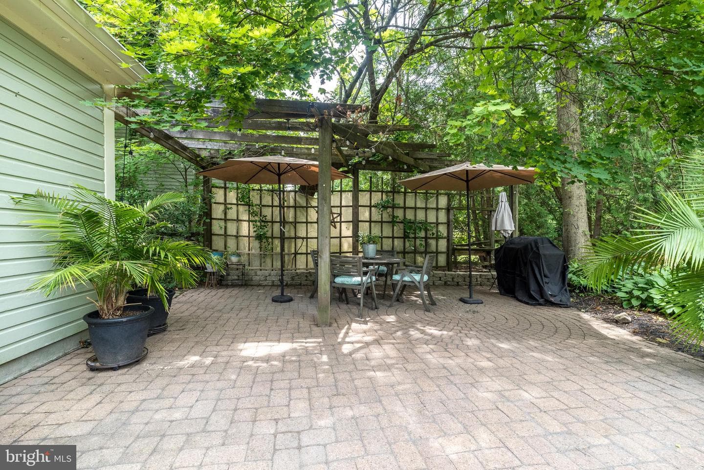 65 Mathews Avenue photo 52