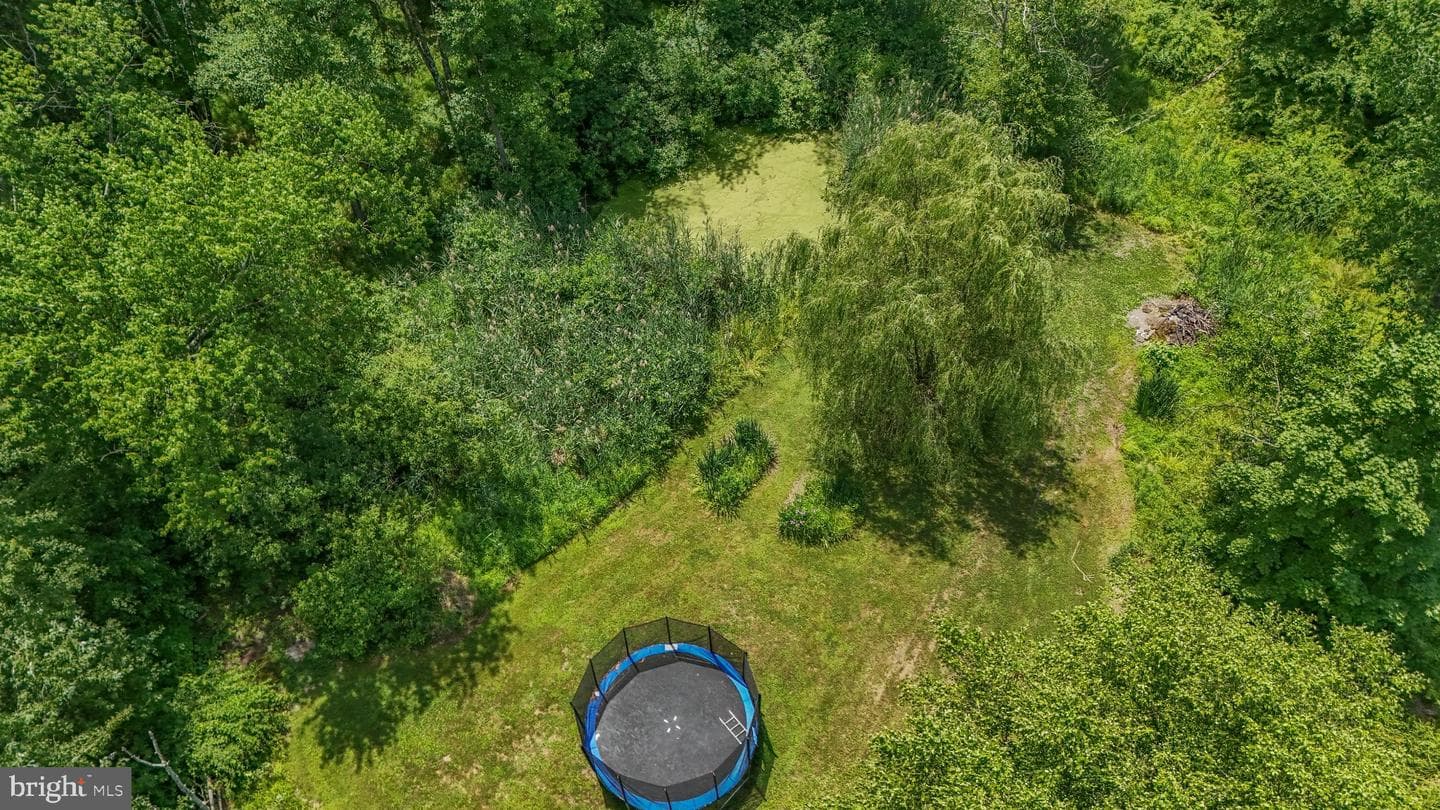 1350 Old Plains Road photo 63