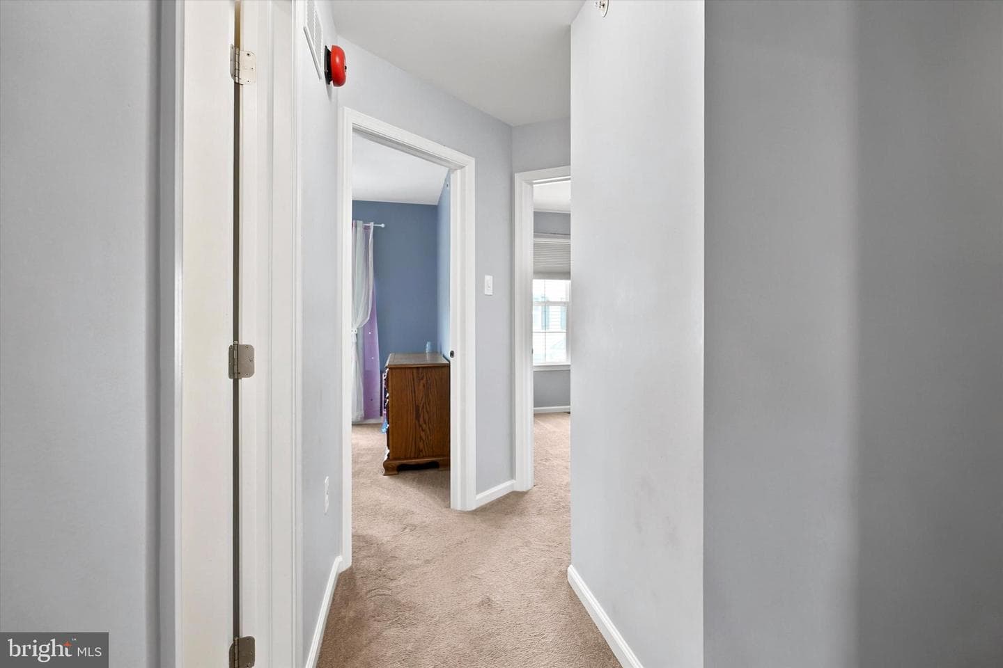 407 Cope Court photo 25