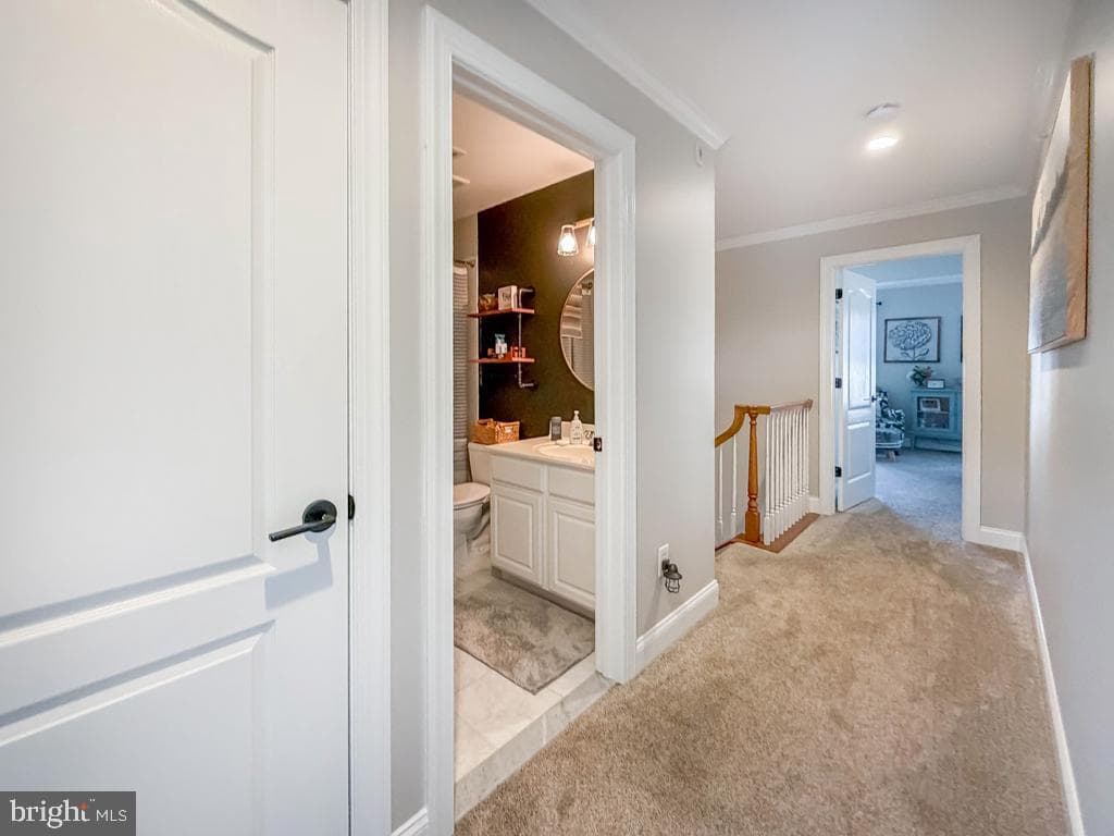 2410 Rosemont Terrace photo 38