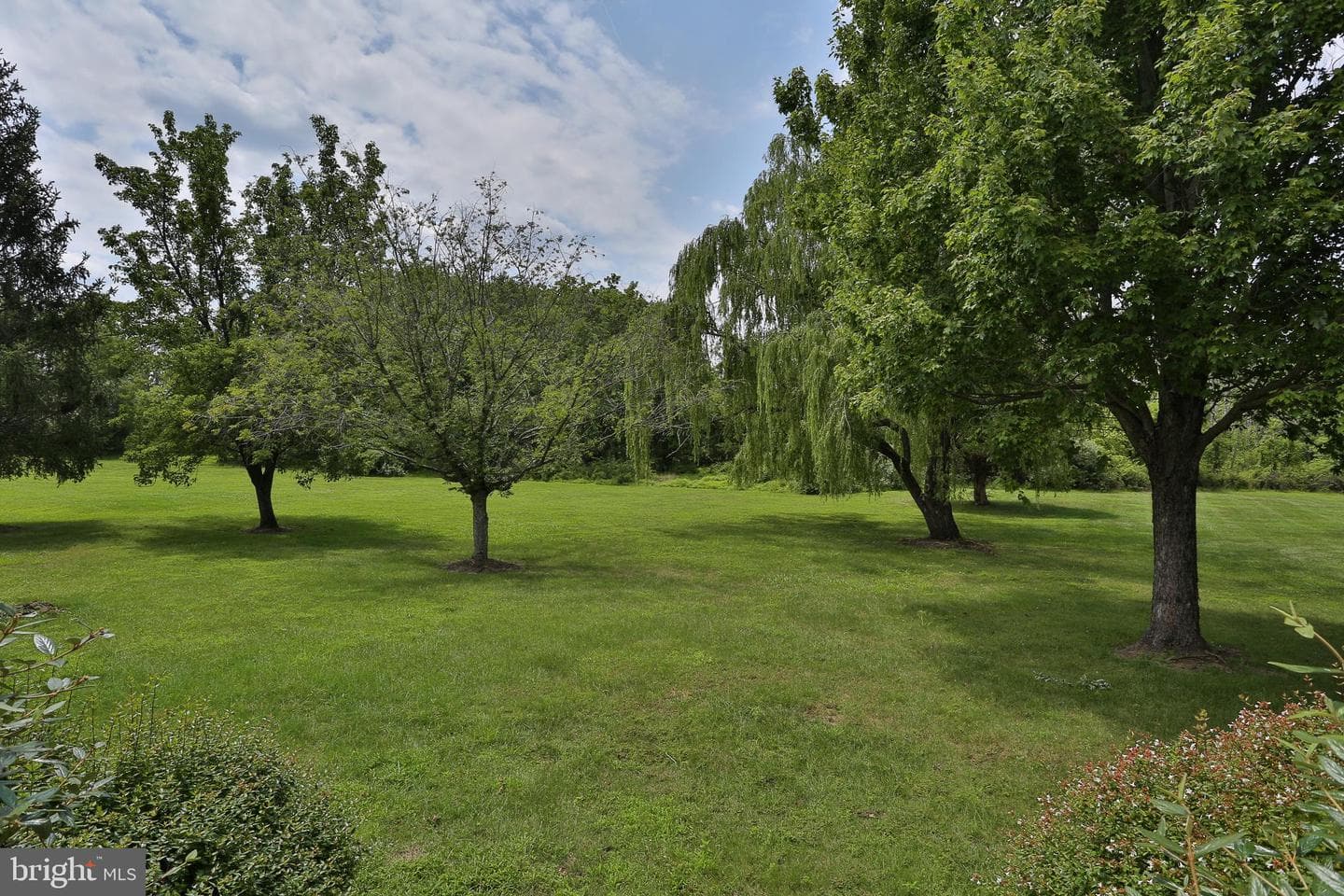 13 Bedford Lane photo 28