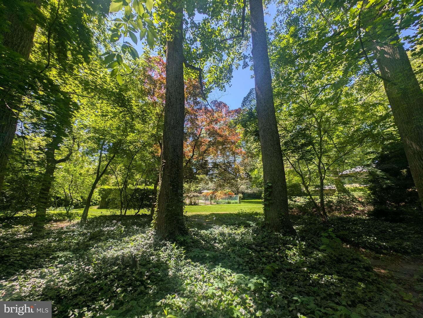 775 River Road photo 66