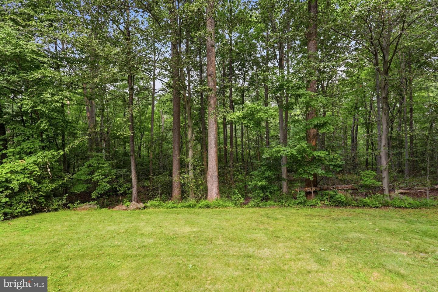 1045 Mountainview Drive photo 39