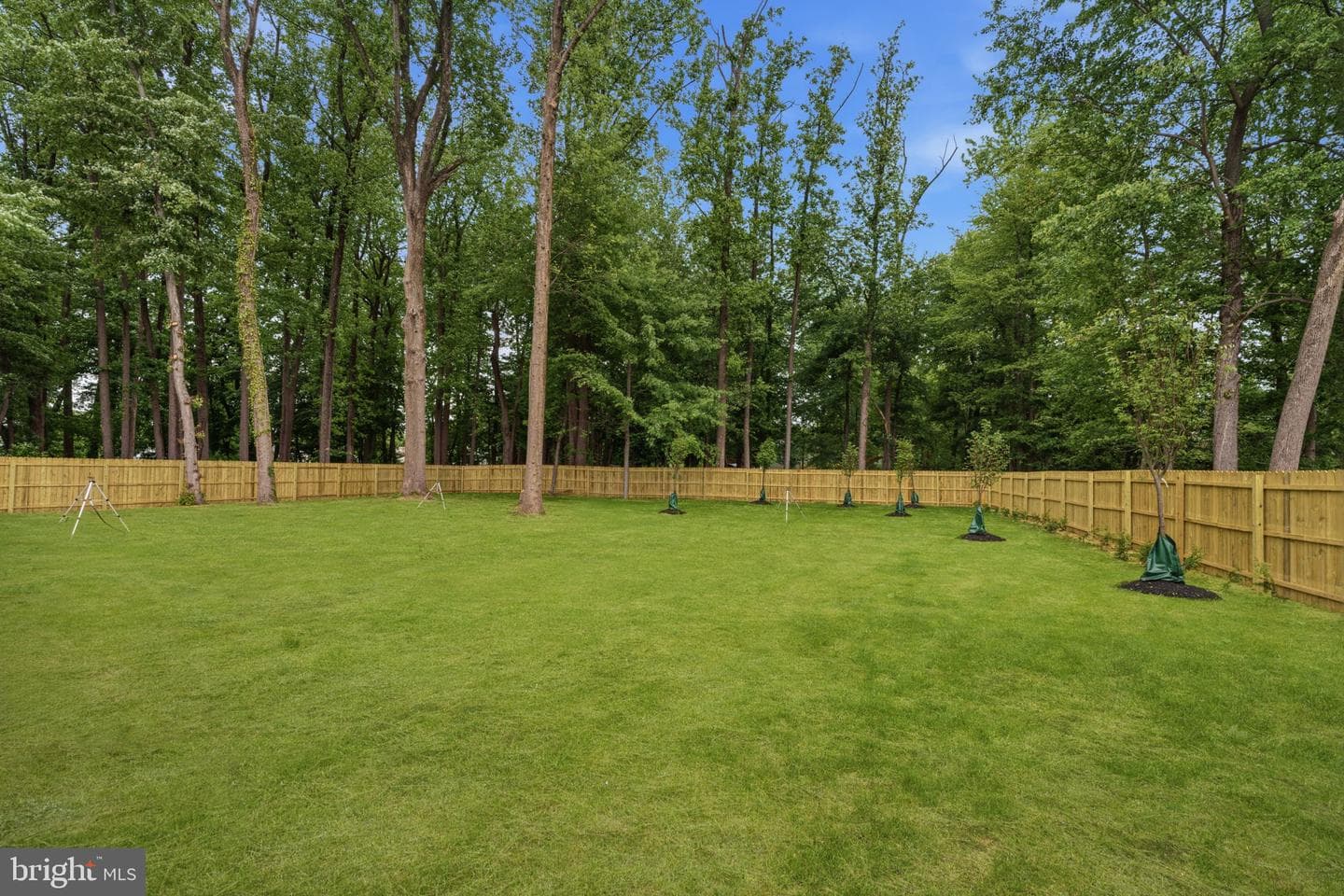 151 E Highland Avenue photo 35