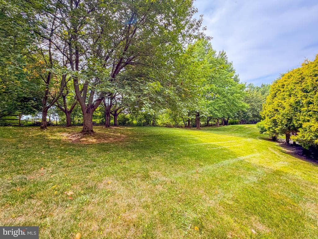 2212 Corson Lane photo 47