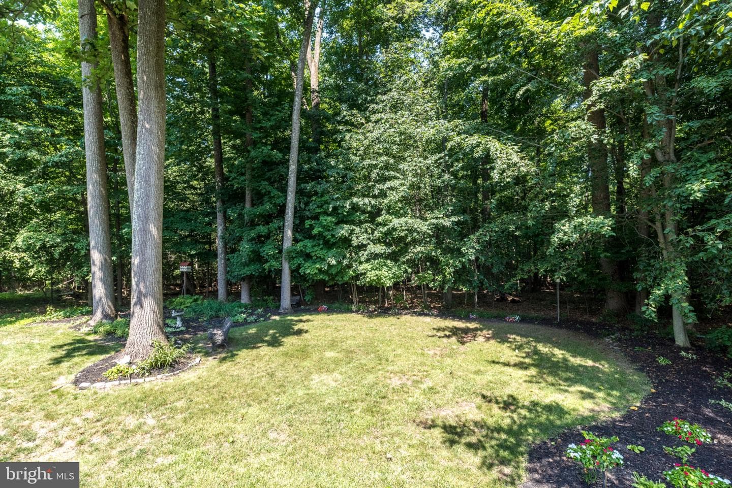 1876 Sycamore Drive photo 10