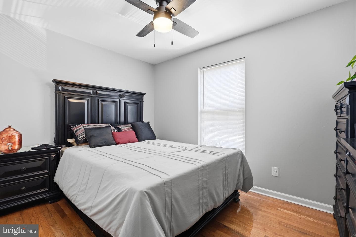 231 Collingswood Road photo 14