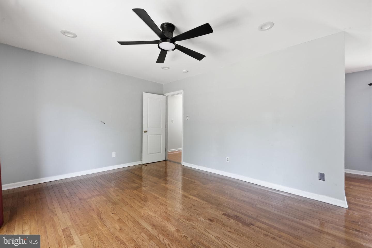 231 Collingswood Road photo 20