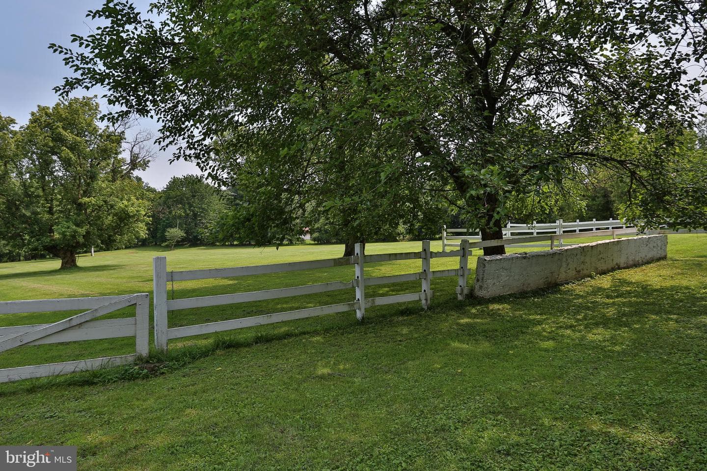 5792 Carversville Road photo 88