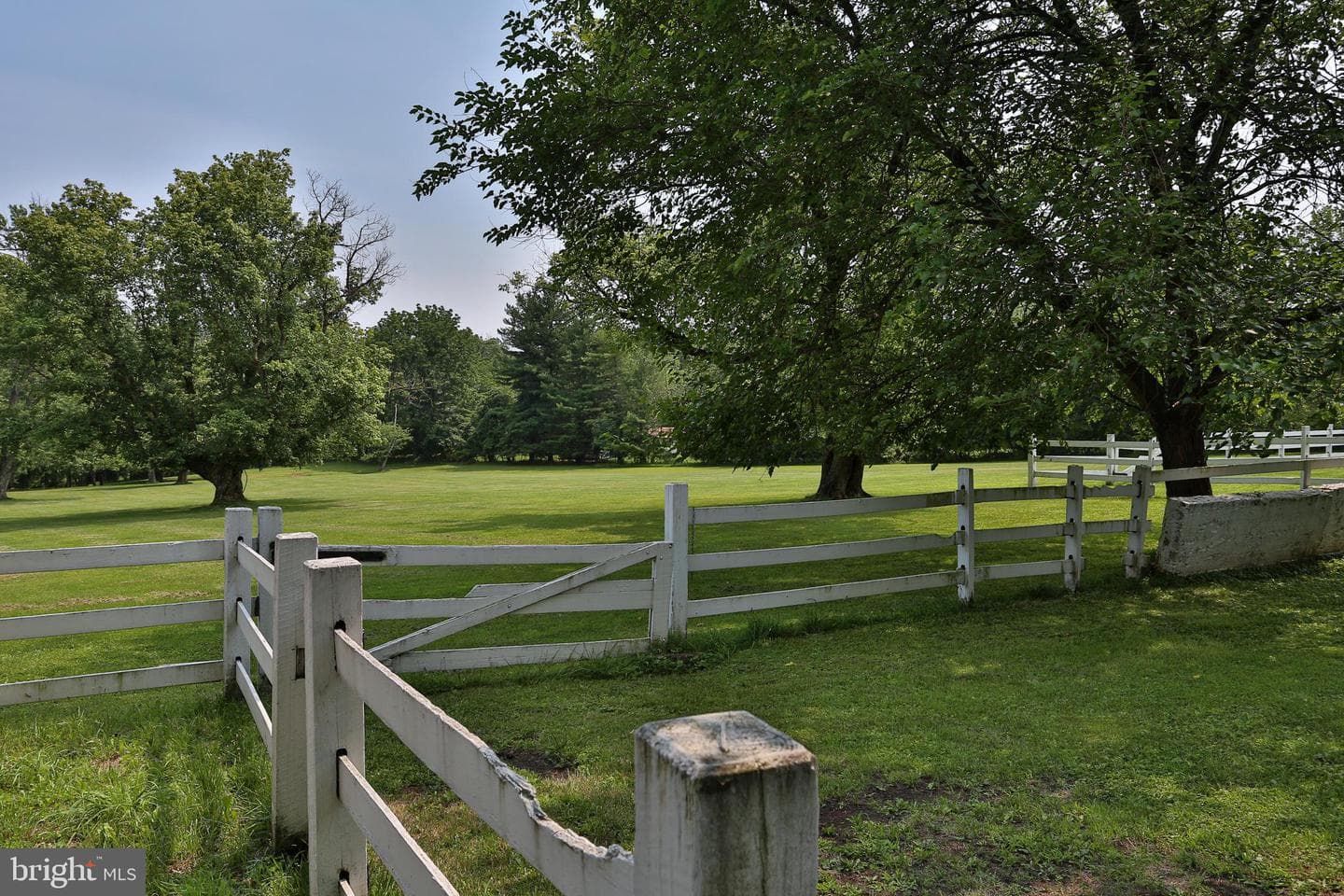 5792 Carversville Road photo 90
