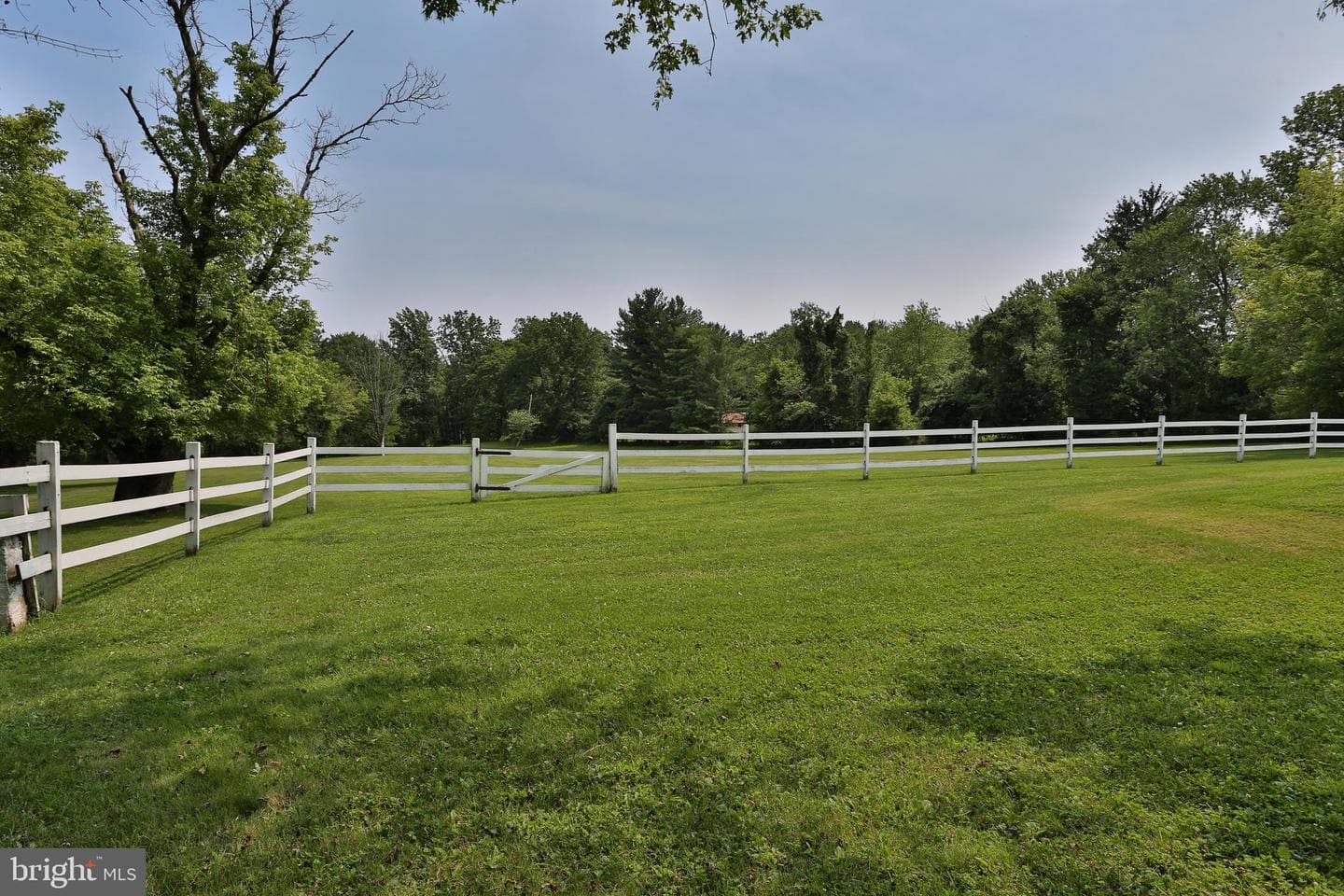 5792 Carversville Road photo 94