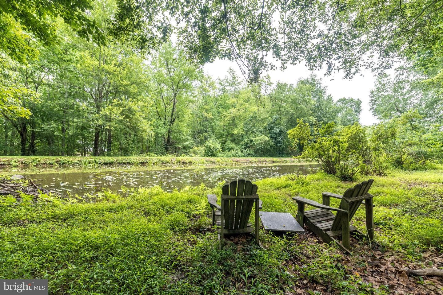 24 Springtree Lane photo 81