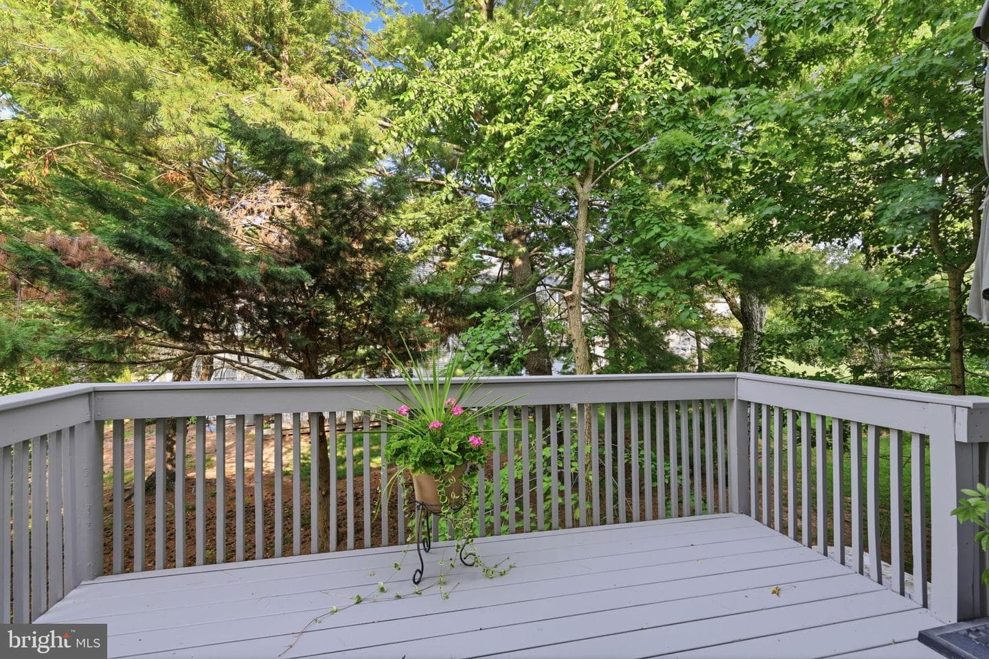 1001 Eagle Lane photo 48