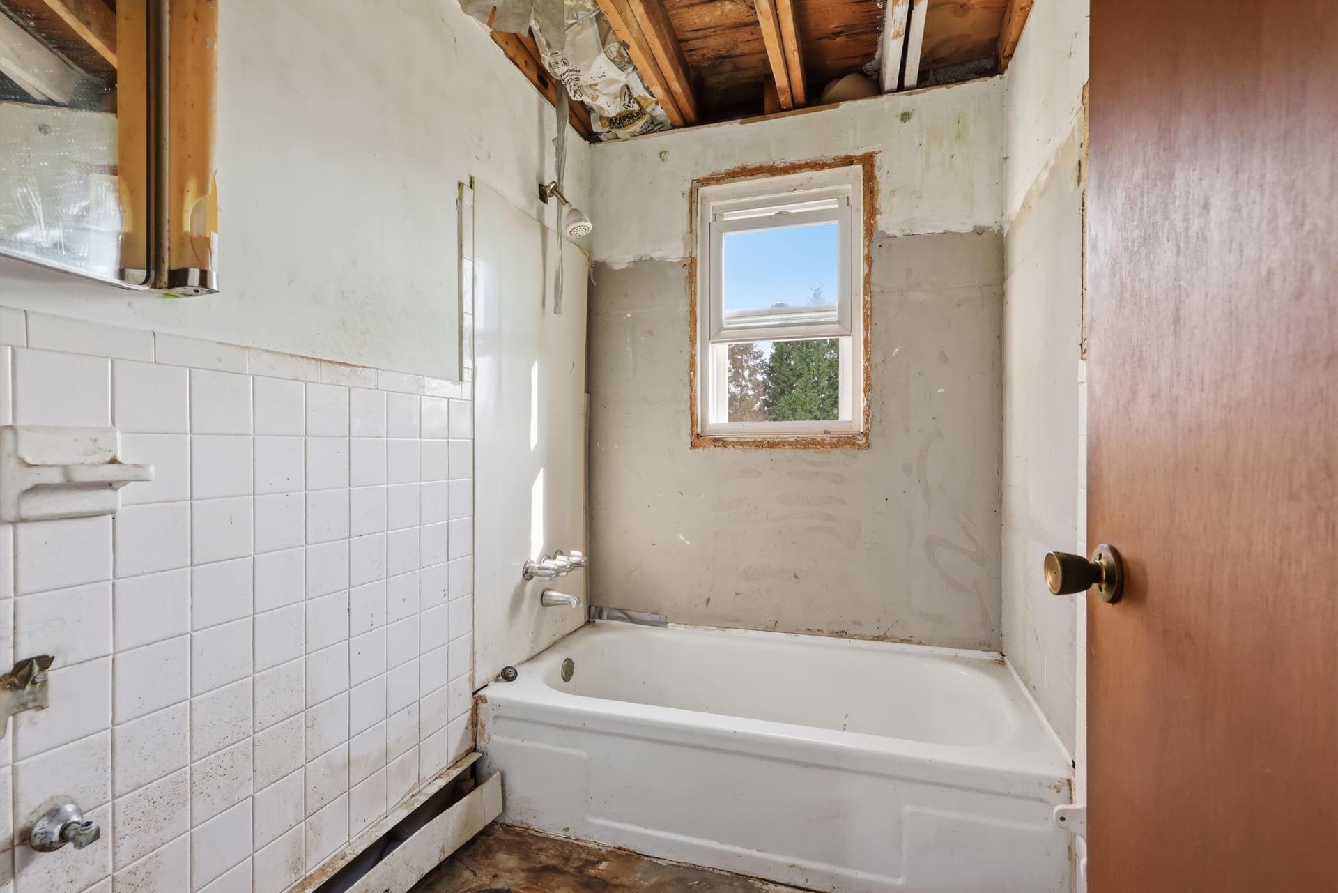 214 Shewell Avenue photo 15