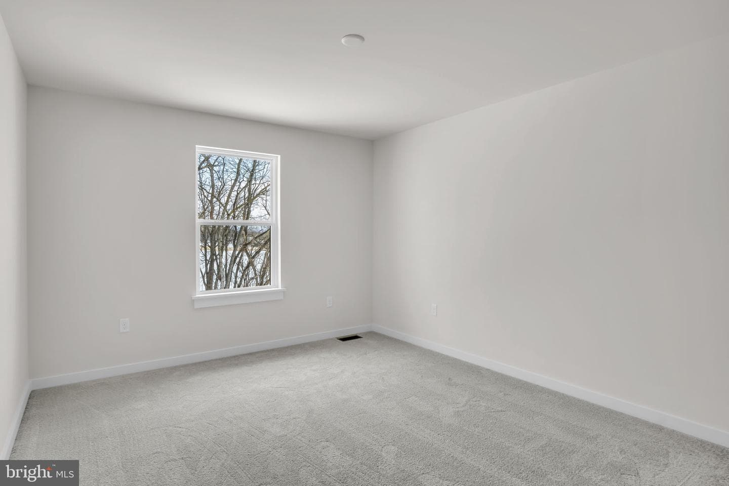1012 Blackstone Run photo 13
