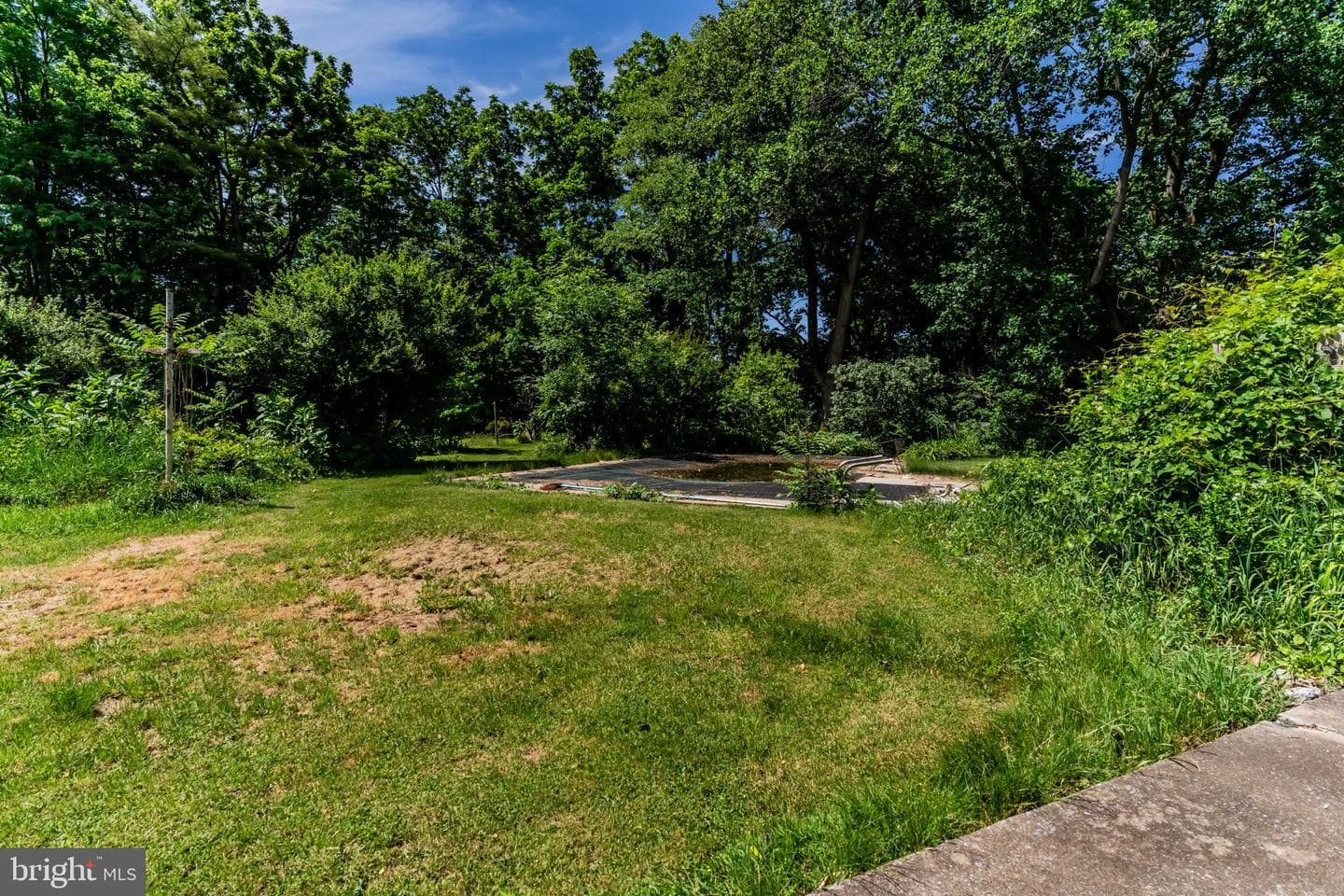 351 Lowther Street photo 16