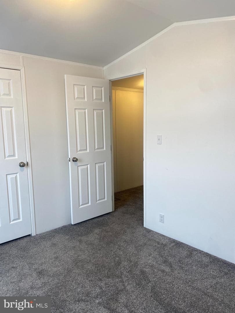 80 Vasilios Drive photo 13