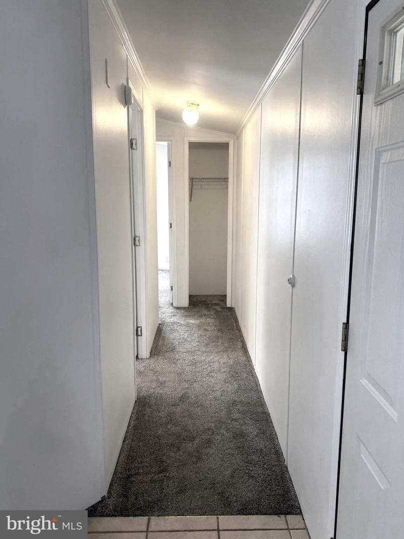 80 Vasilios Drive photo 27