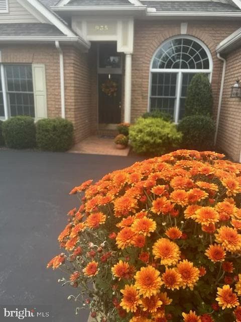 935 Grandon Way photo 4