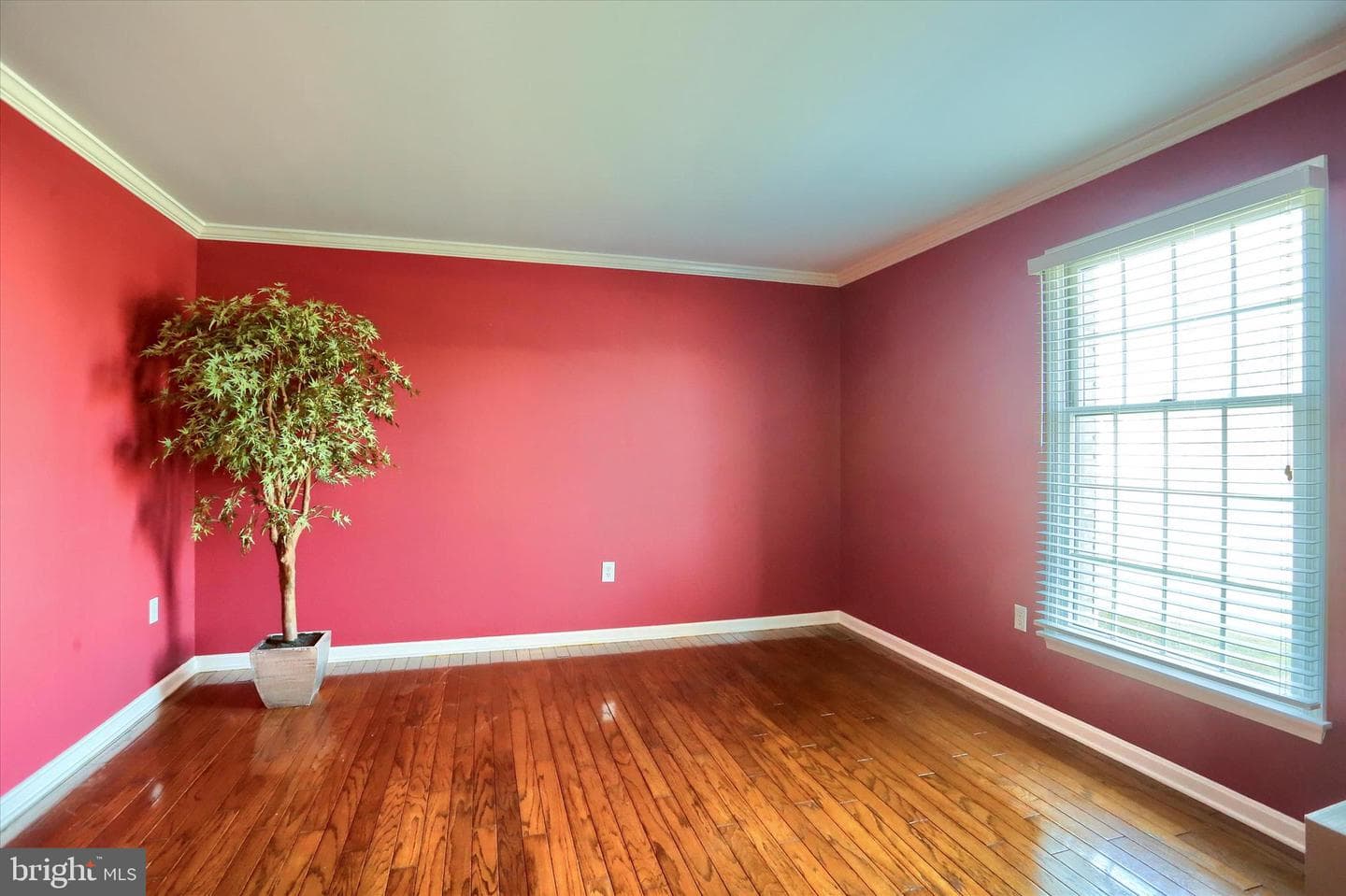 3819 Dorset Drive photo 7