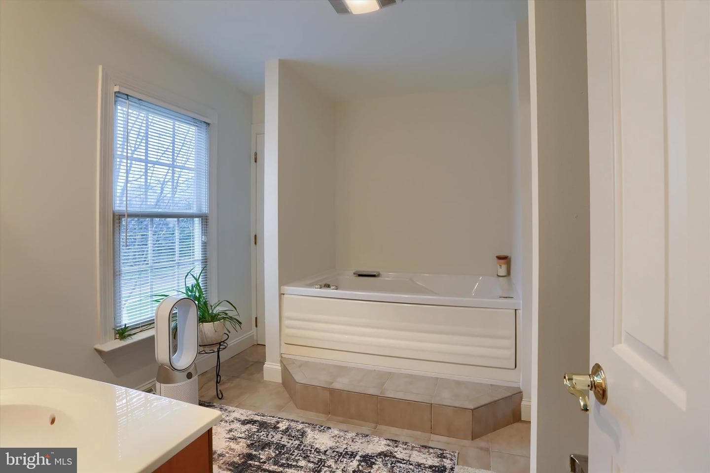203 Friar Court photo 34