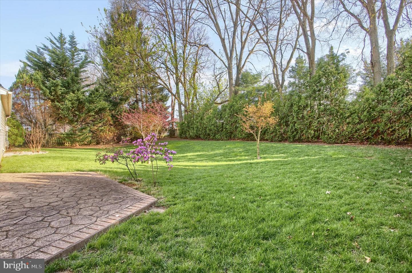 6347 Stephens Crossing photo 5