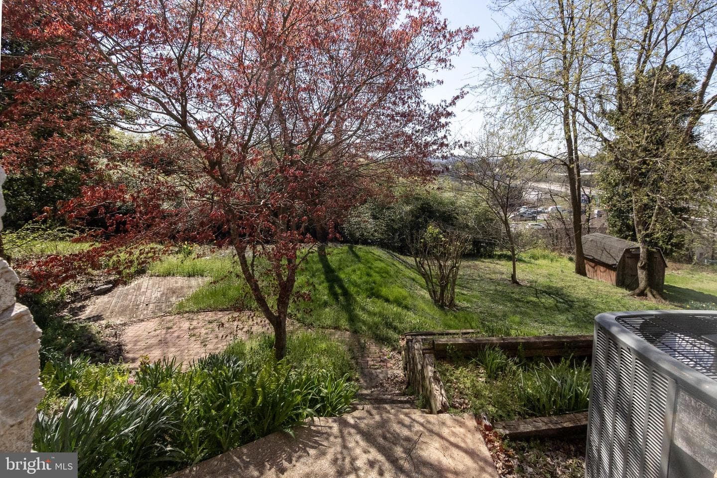 202 Walnut Street photo 35