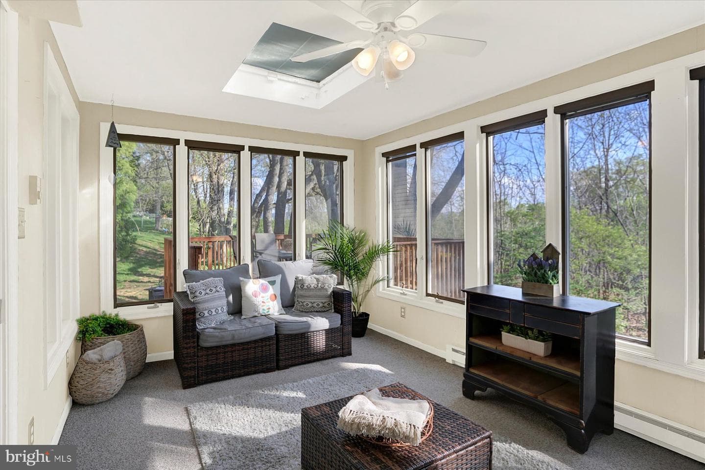 803 Dunbar Road photo 16