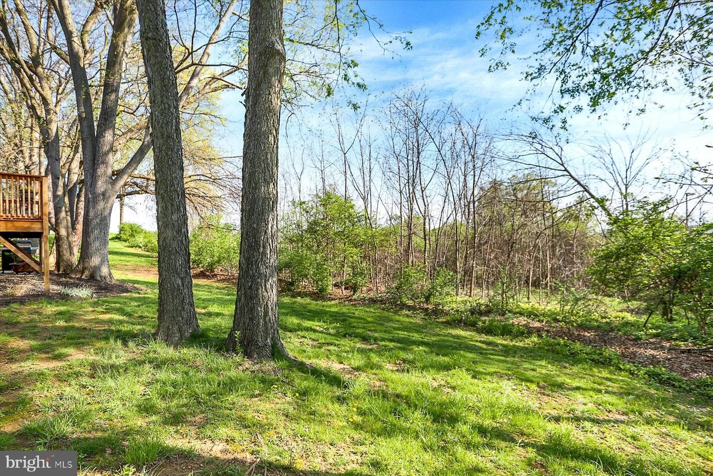 803 Dunbar Road photo 49