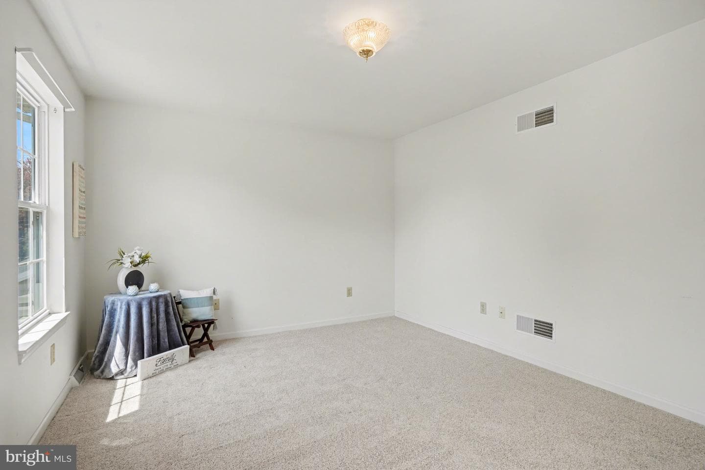 239 G Street photo 16