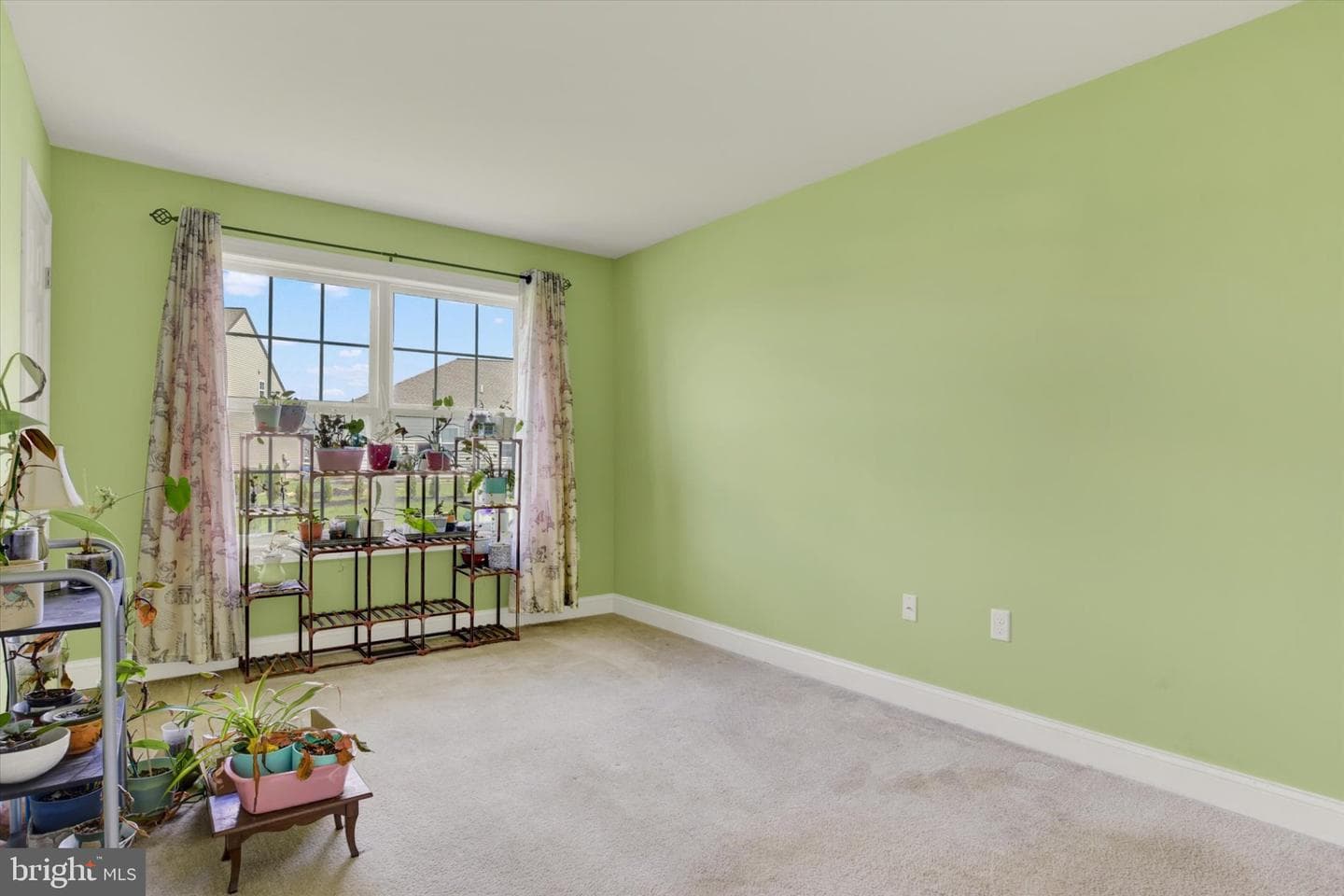 43 Danbury Drive photo 16