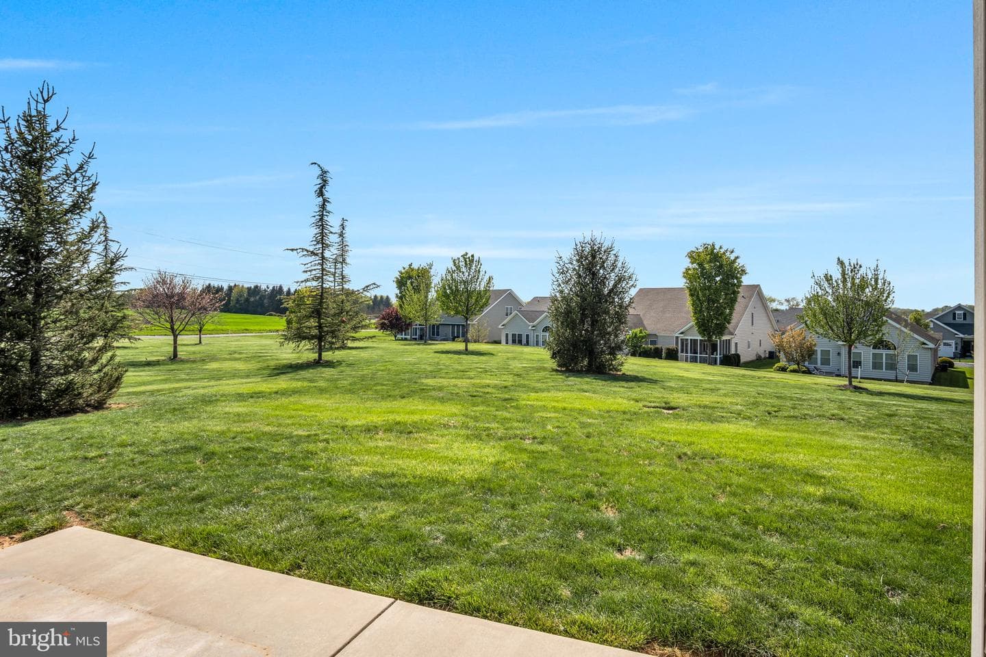 52 Danbury Drive photo 59