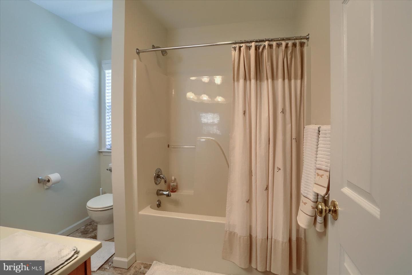 4250 Roth Farm Village Cir photo 32