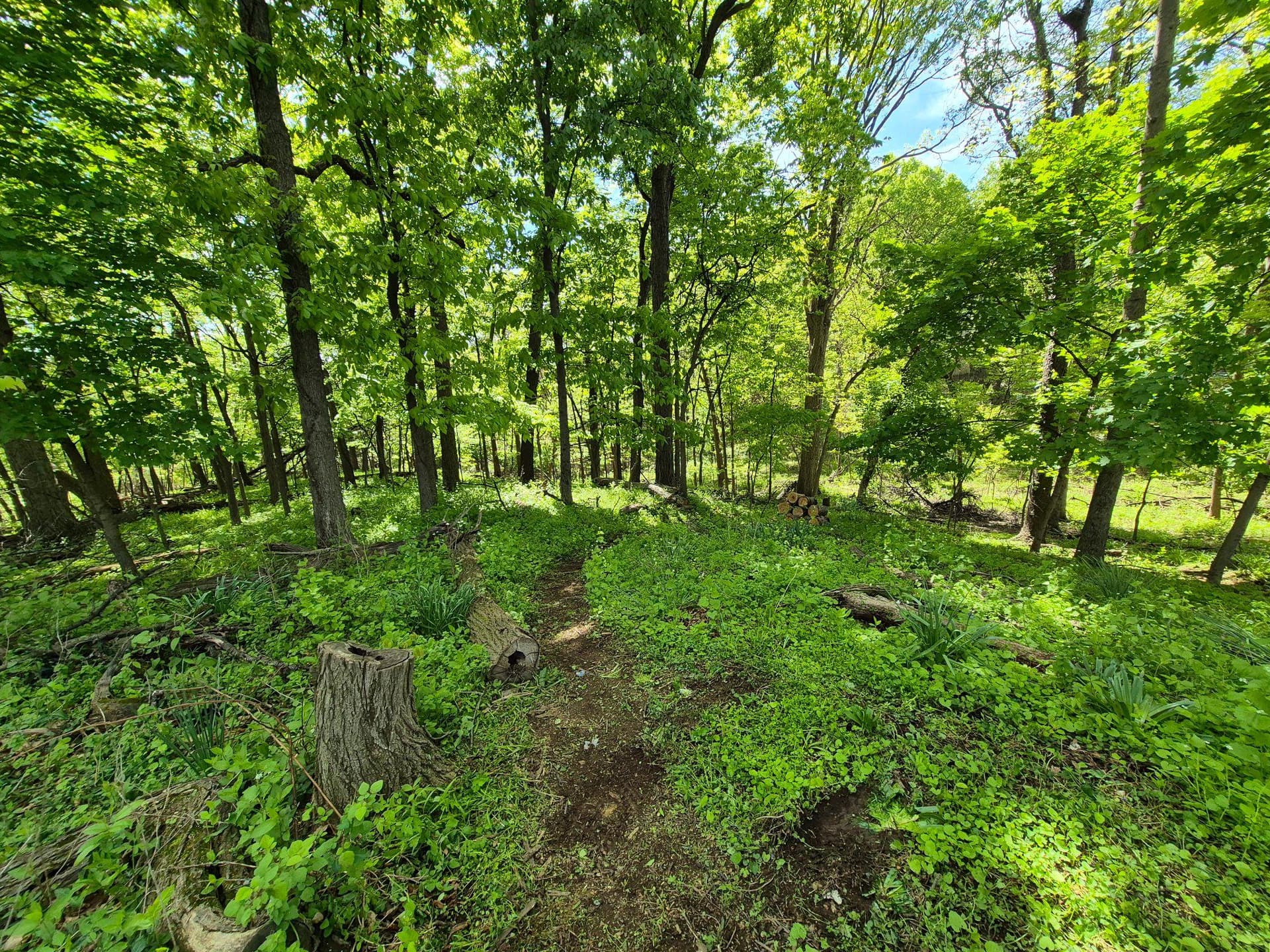 1406 Princeton Road photo 11