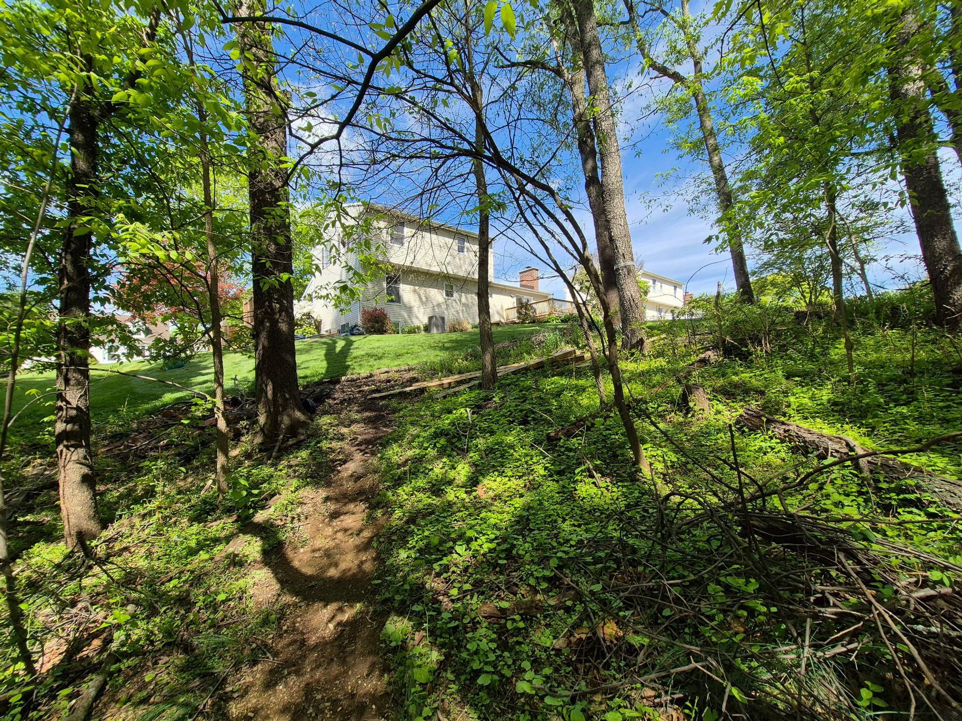 1406 Princeton Road photo 13