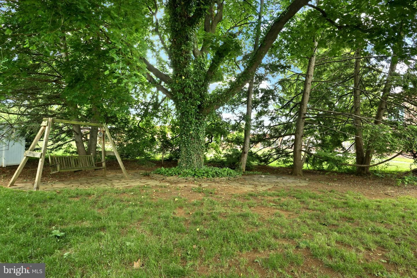 415 Alison Avenue photo 38