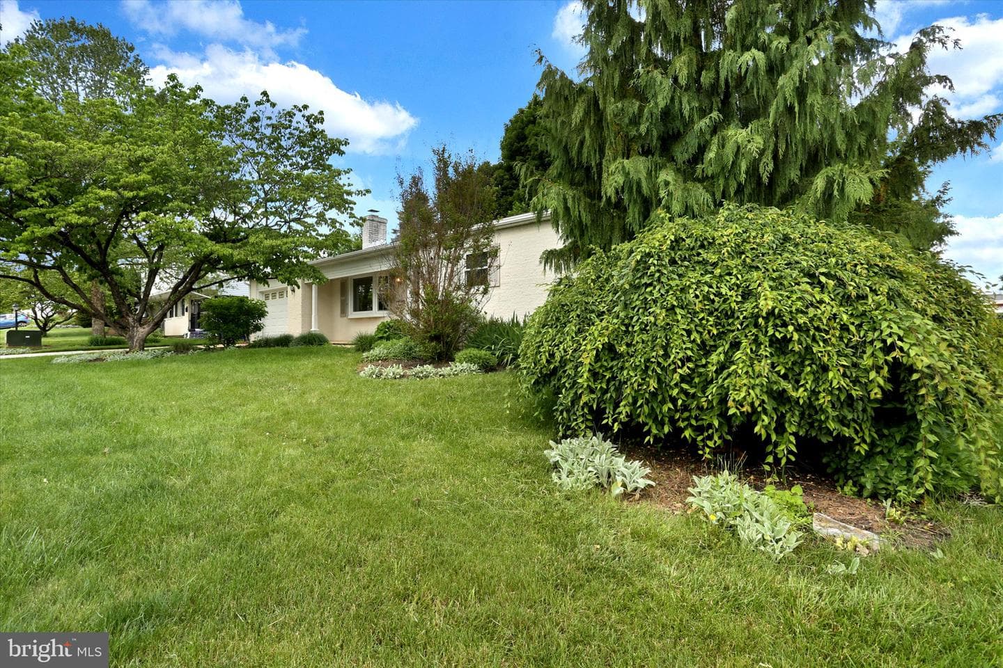 415 Alison Avenue photo 4
