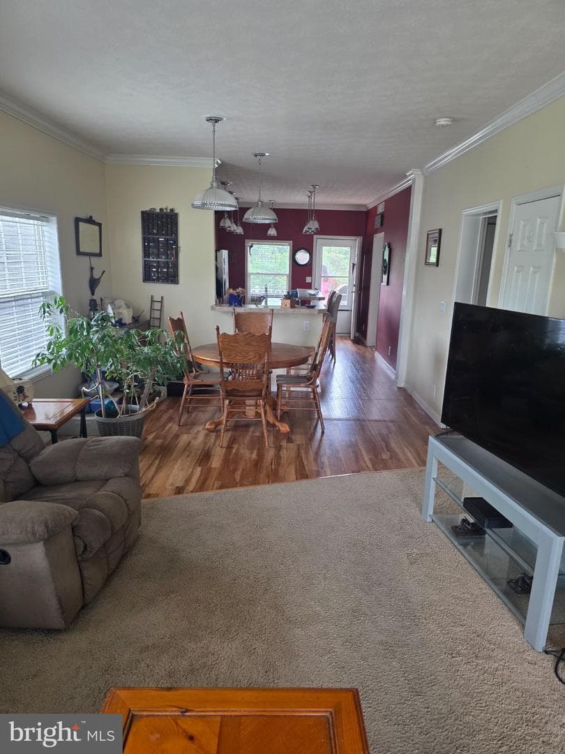 502 Falcon Dr photo 3